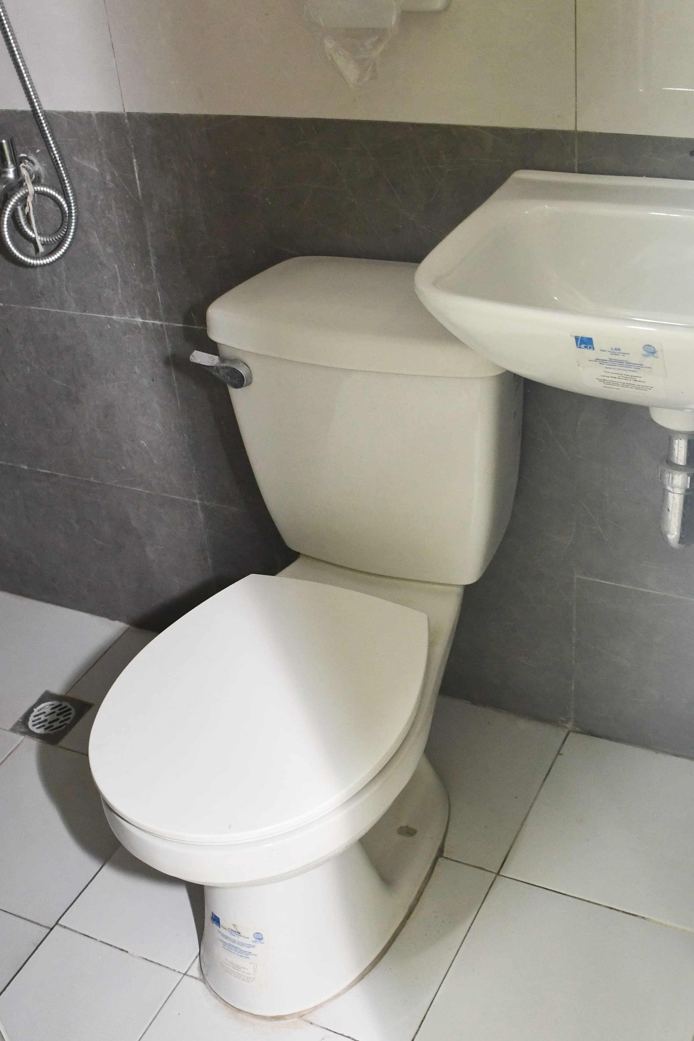 Bathroom View showing Toilet