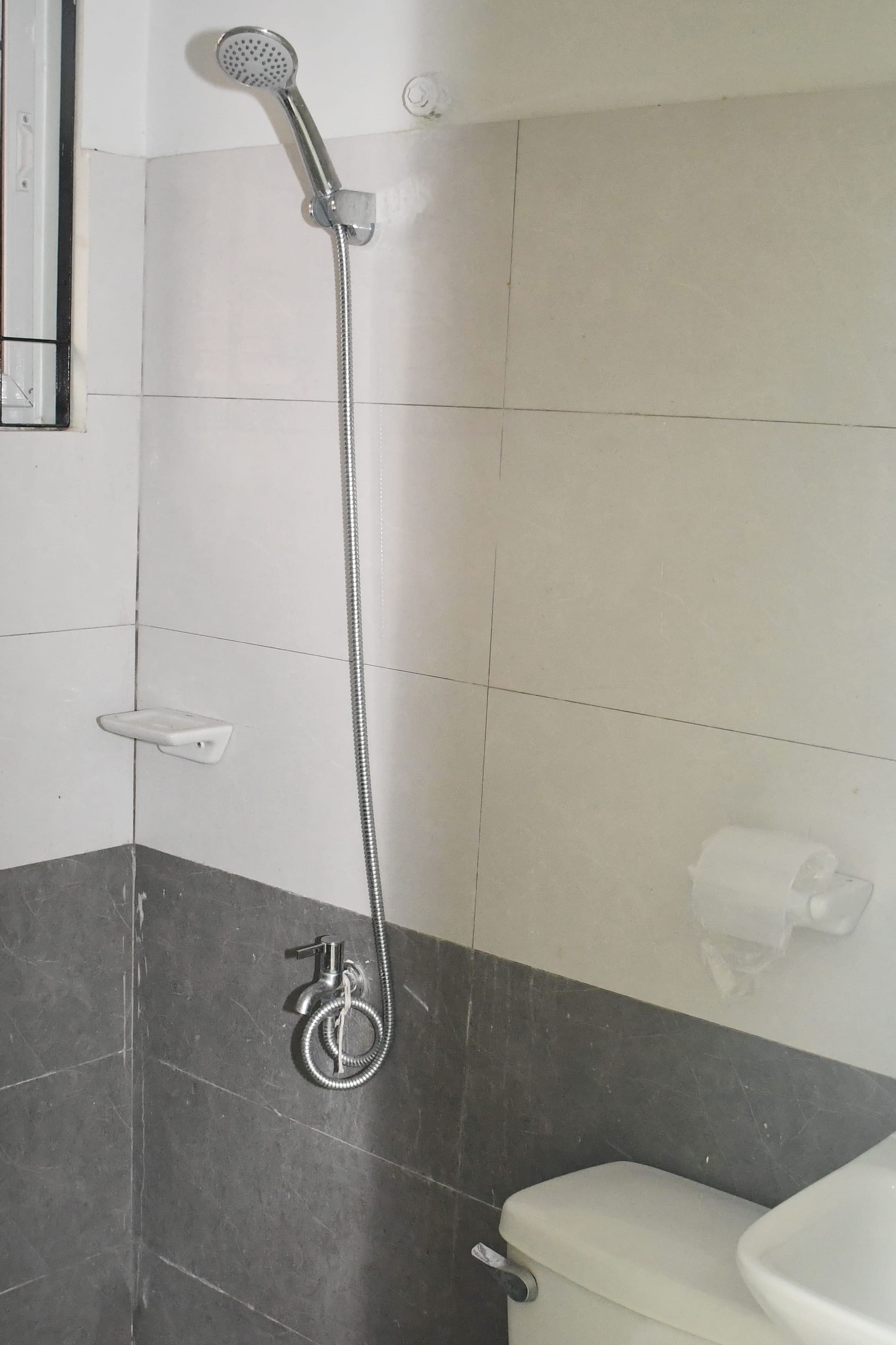 Bathroom View showing Shower